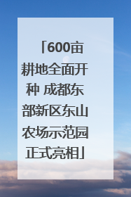 600亩耕地全面开种 成都东部新区东山农场示范园正式亮相