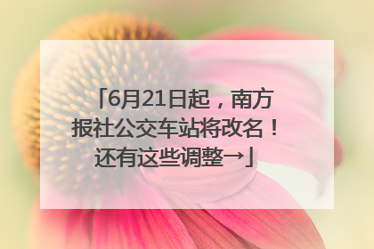 6月21日起，南方报社公交车站将改名！还有这些调整→