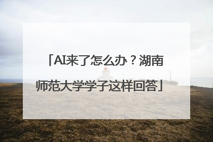 AI来了怎么办？湖南师范大学学子这样回答