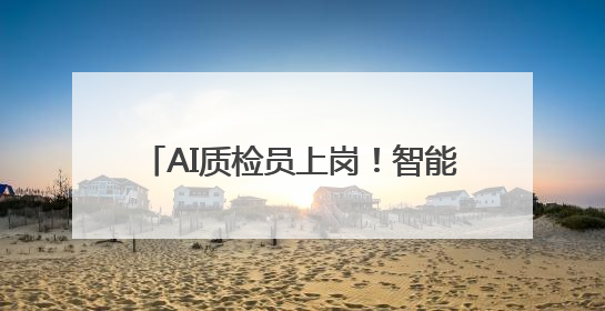 AI质检员上岗！智能扦检提效率、护粮安