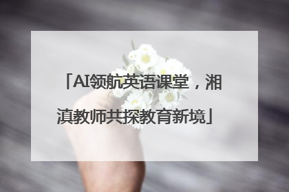 AI领航英语课堂，湘滇教师共探教育新境