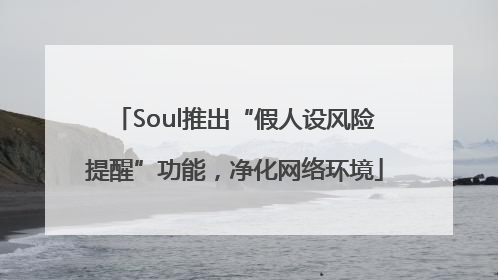 Soul推出“假人设风险提醒”功能，净化网络环境